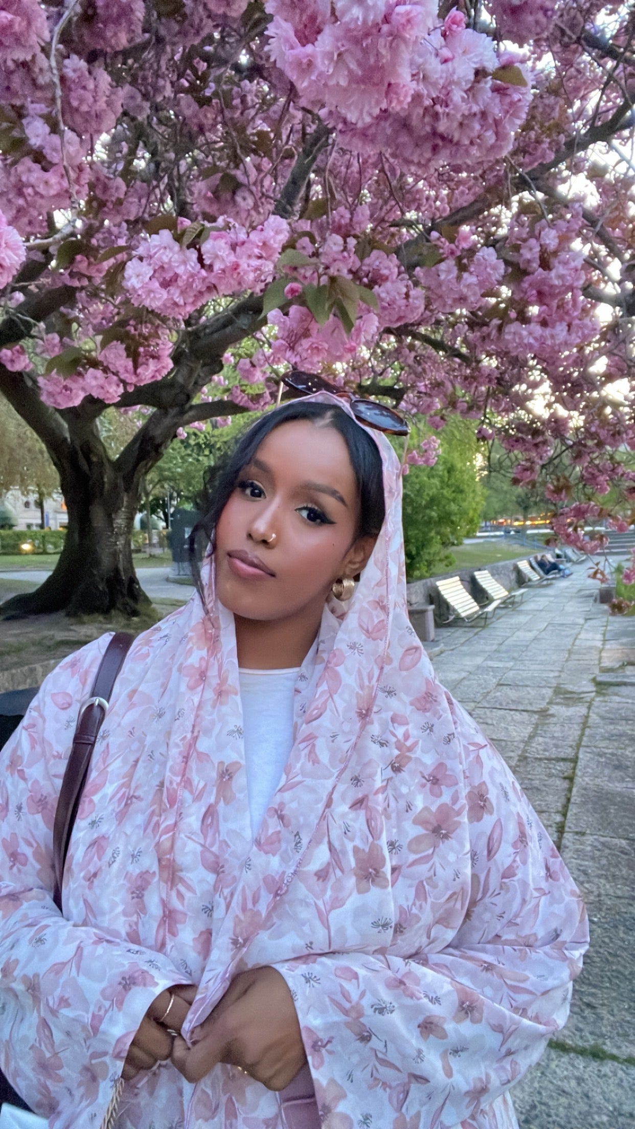 Cherry blossoms 🌸